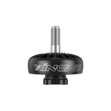 XING 2205-2300KV 6S FPV Motor